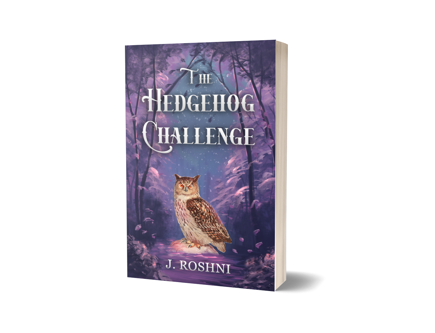 3d image of the book The Hedgehog Challenge