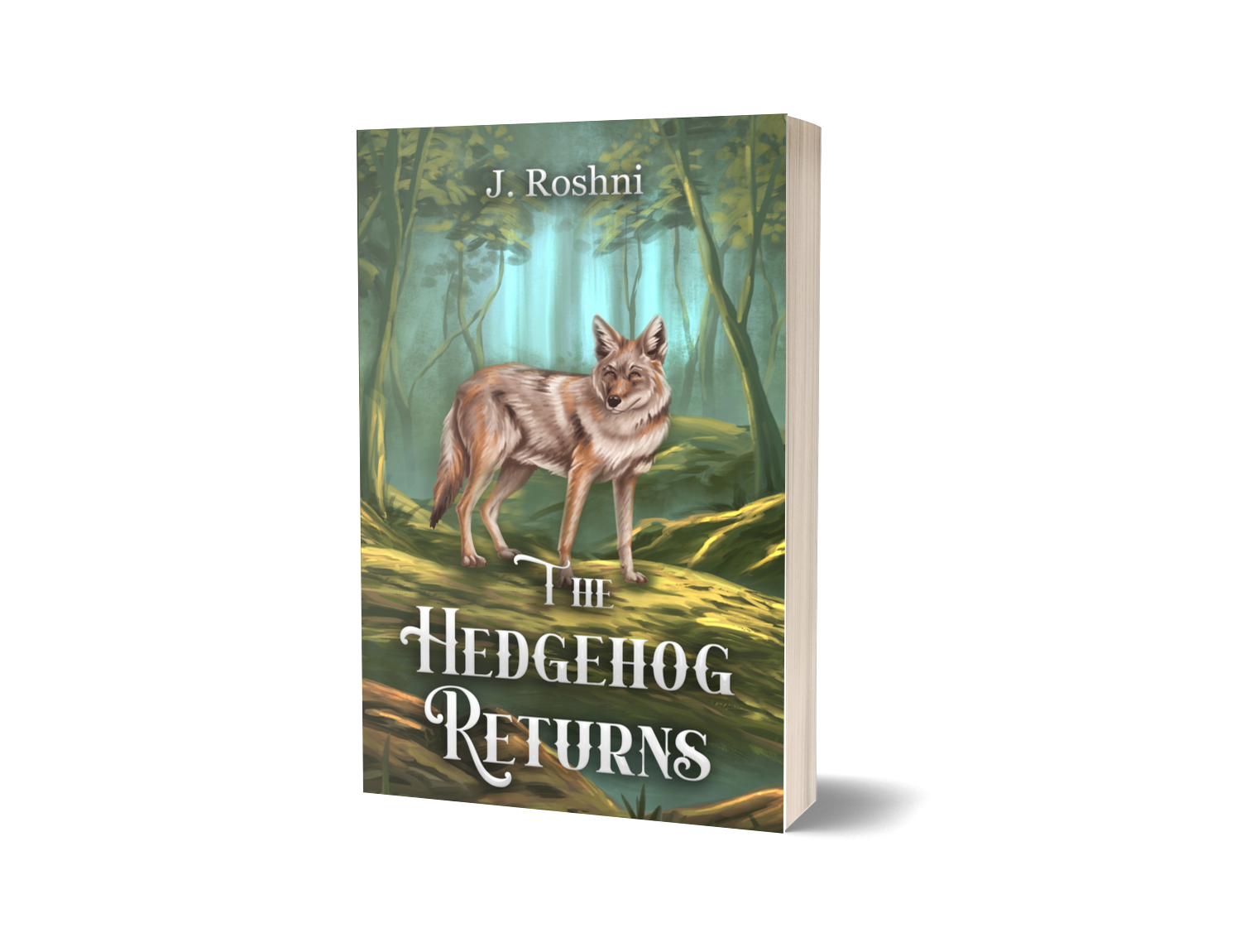 3d image of the book The Hedgehog Returns
