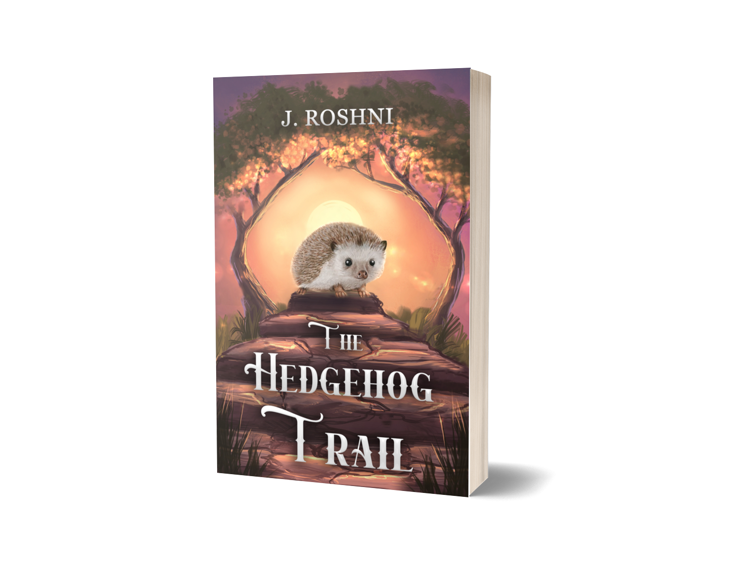 3d image of the book The Hedgehog Trail